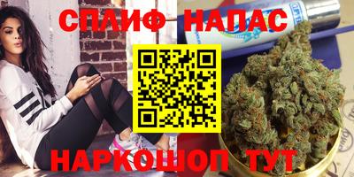 крисы Тара