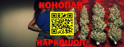 крисы Тара