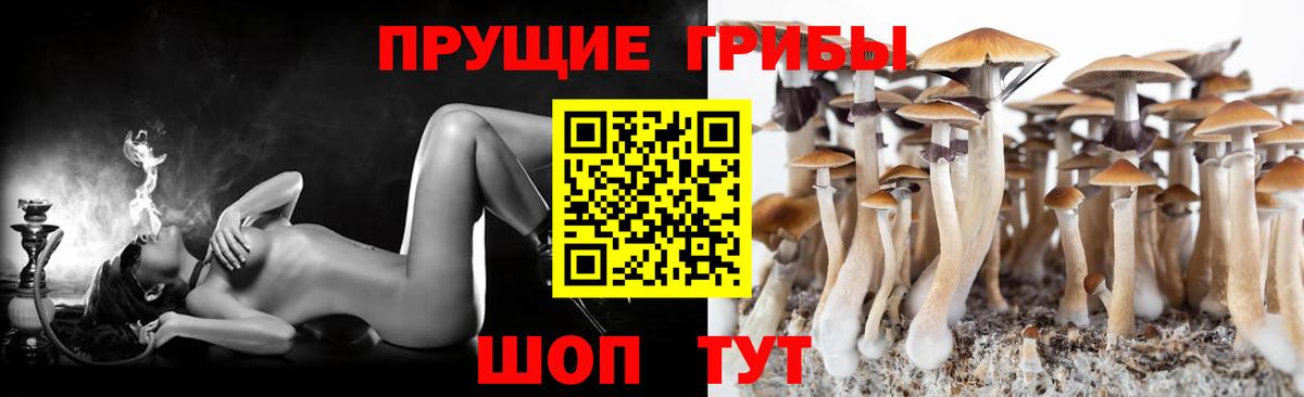 Галлюциногенные грибы Psilocybe  Вход с VPN  где можно купить   Большой Камень 